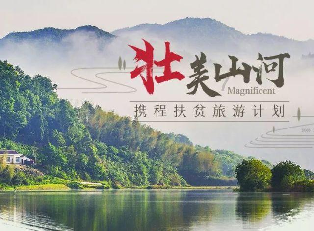 海口开在巷子里的老爸茶，5元一个招牌大包子，蒸笼小吃随便点