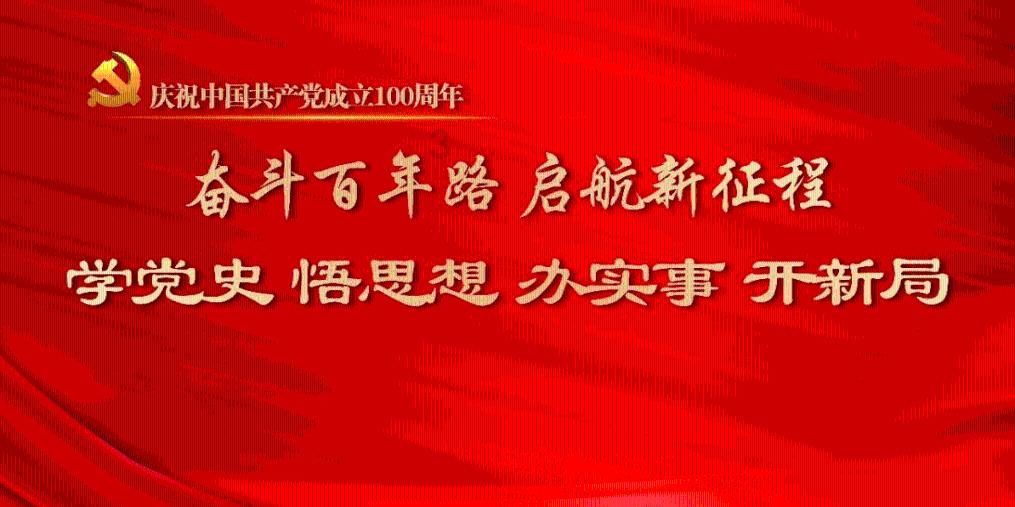 见缝插刀2
