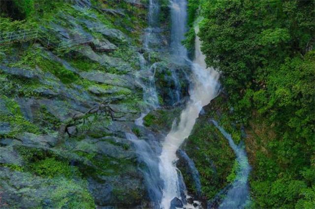 重庆金佛山开出一片冰花花海